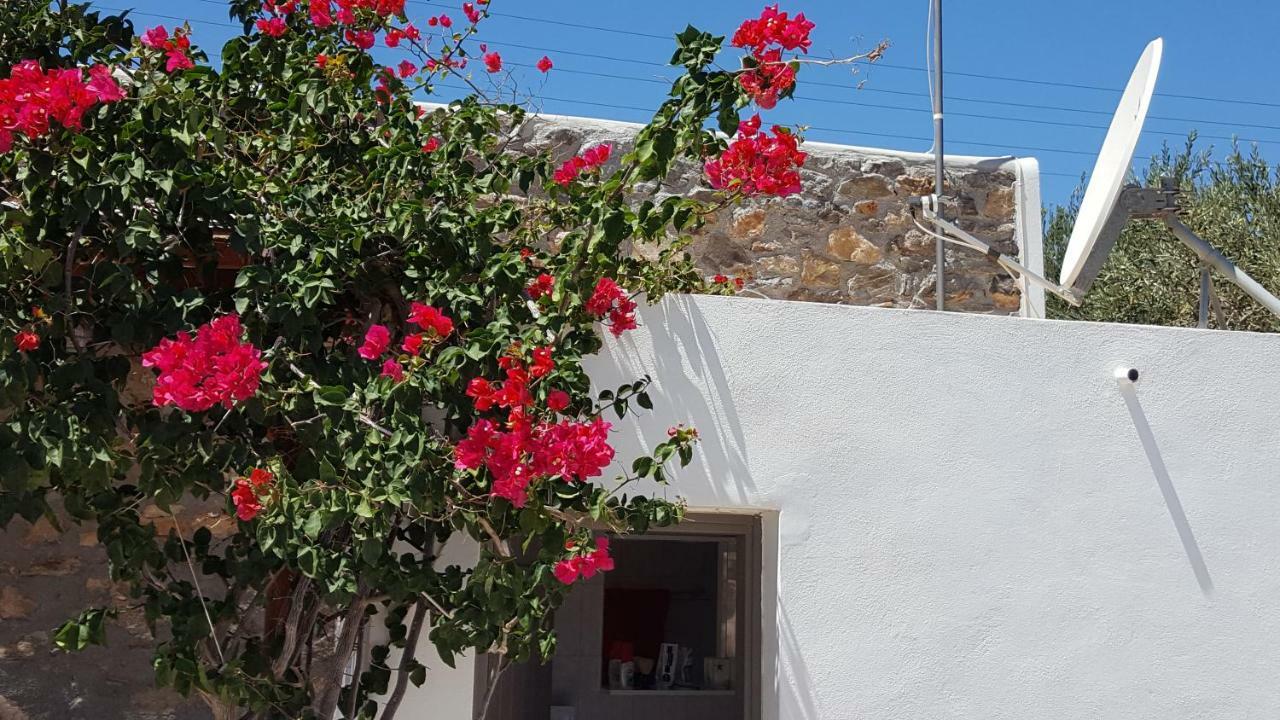 Flora'S Beach And Pool Villa In Syros Liaropá Zewnętrze zdjęcie